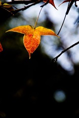 _IGP9408.jpg
