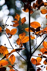 _IGP9421.jpg