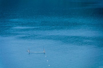 _IGP3753