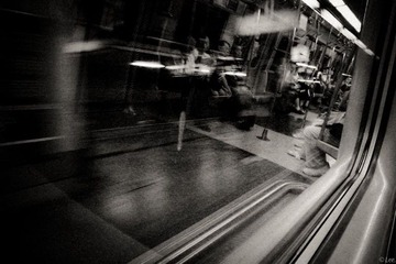 _1137495
