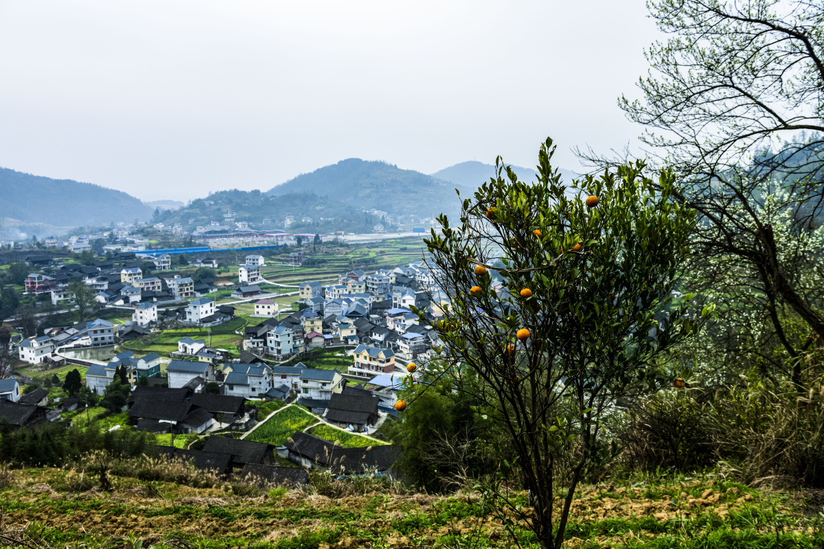 美丽乡村湘西情缘