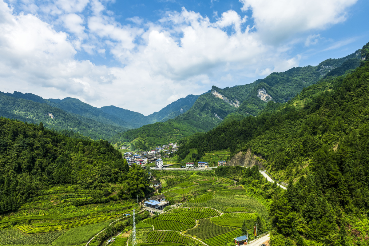 盛夏乡村的风景