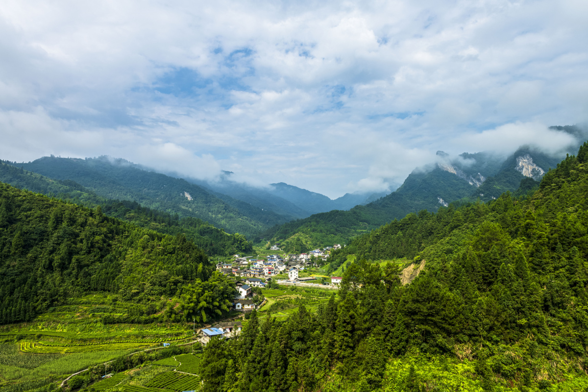盛夏乡村的风景