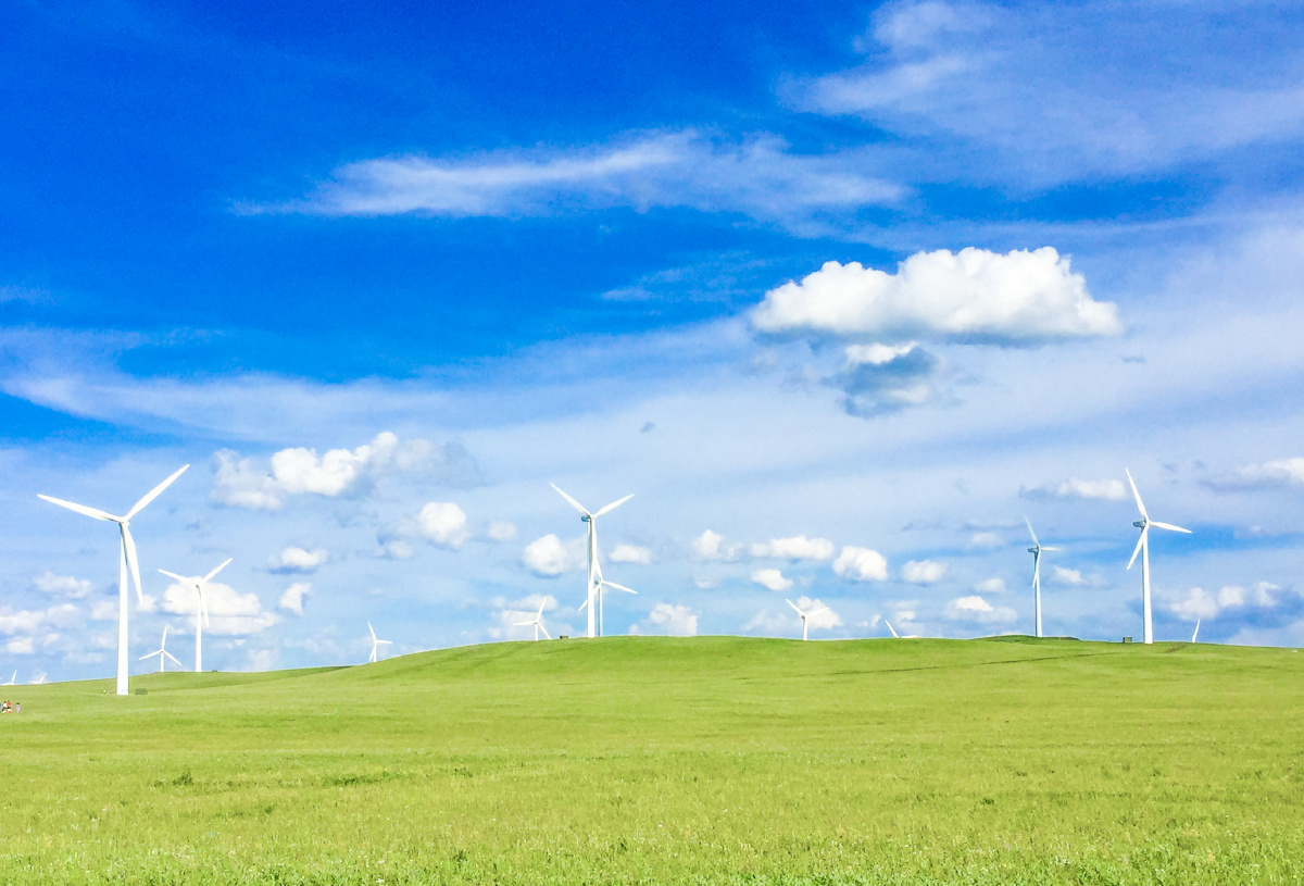 呼和浩特大草原