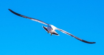 CYF_2820