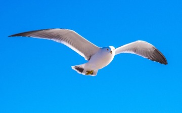 CYF_2881