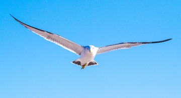 CYF_2873