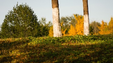 313cbbd8bb61ddd5