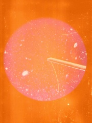 001