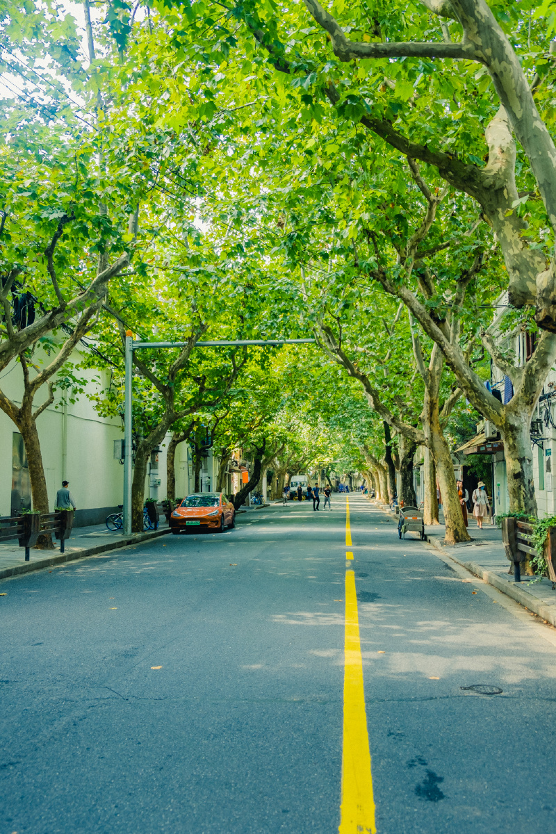 上海最美马路愚园路