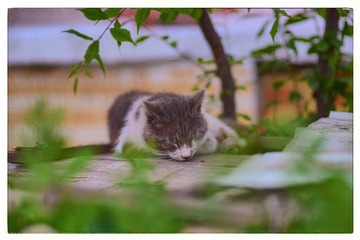 DSC_9092x1 - 