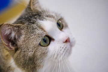 AE05398A-1FB8-4EC8-BA00-FB67E22859A8/L0/001
