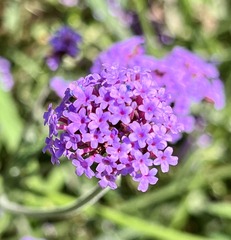 14F19E6C-AD7A-4618-8578-F22CA36AB8DA/L0/001