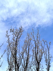 F597144E-10C3-48F6-9E57-E14D39E2D7B9/L0/001