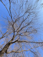 7202FD0A-89F7-4FE7-A114-DDEC70948402/L0/001