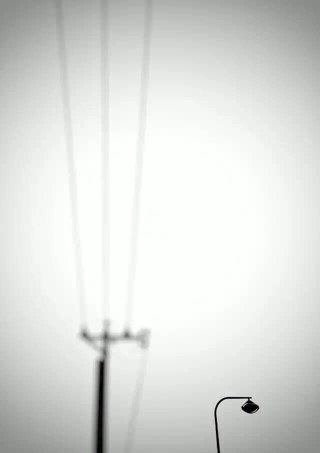 人间存一角，聊放侧枝花～
