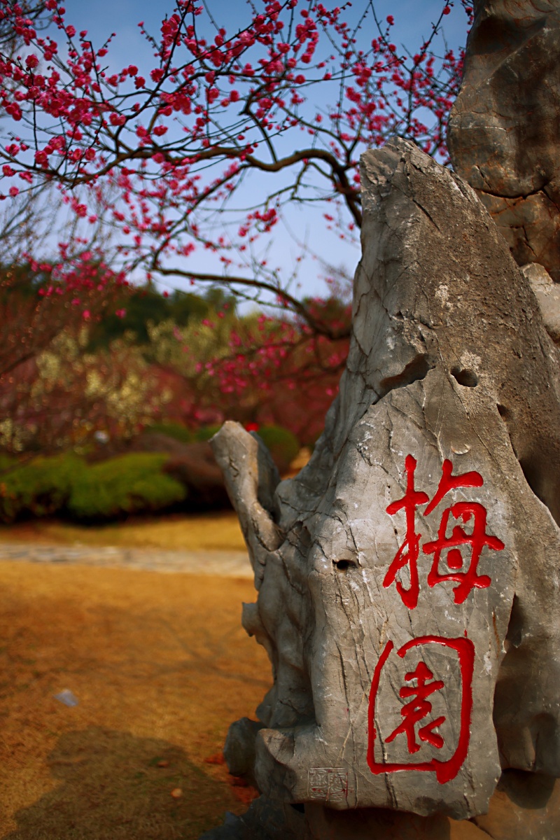 清华大学摄影圈南京大学摄影圈中山大学摄影圈武汉大学摄影圈武汉理工