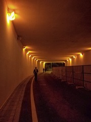 2288023