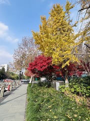 CD3052D7-D152-4768-A11C-A95717384DBC/L0/001