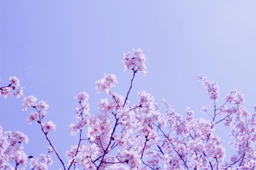 52F46272-A716-4972-AF88-BEAE650BF2F9/L0/001