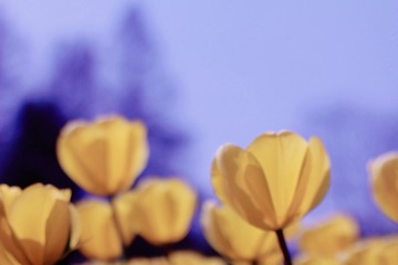 5F17E768-319A-4EF1-8062-AA56596C9C88/L0/001