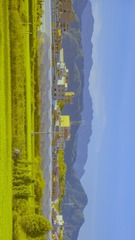 42005