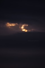 mmexport1580641806234_polarr