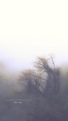 1270515