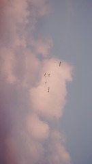 1059021