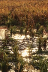 IMG_1185_polarr