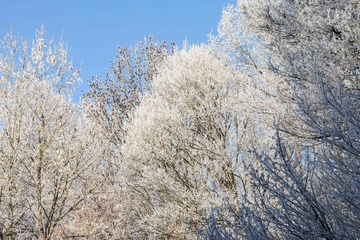 IMG_0393-3 SMALL