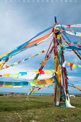 満天の唄〜海東紀行 IX