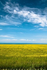 満天の唄〜海東紀行 X