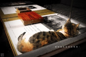 藝術就是寂寞的等待。