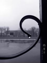 雨音子