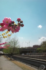 北京歲月館 － 20100423 10