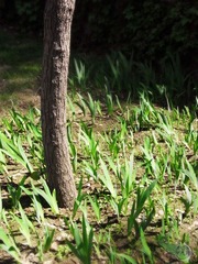 北京歲月館 20100509 2