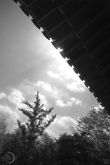 北京歲月館 20100509-3