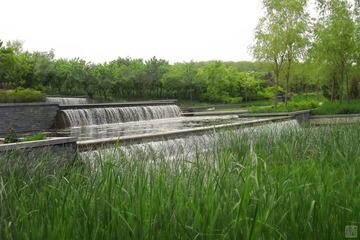 涙の川 II-2