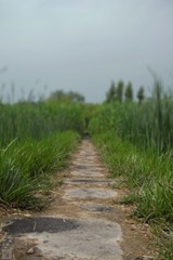 涙の川 II-3