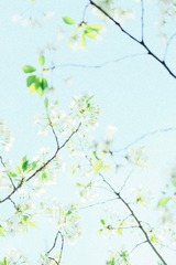 784A55FD-C16E-49F9-BC9D-FC90E2349810/L0/001