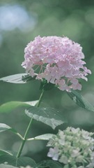ABBD704B-AA71-4CFB-8264-EB8737447A50/L0/001