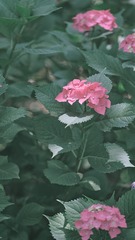 1F454822-F931-4C81-AF86-CDD49735CC37/L0/001