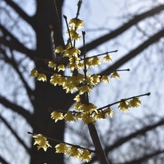 DSC_0251_1