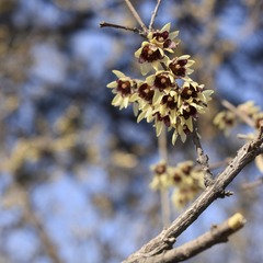 DSC_0281_1