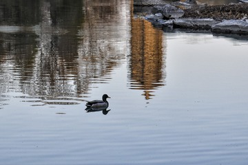 DSC_0336_2