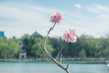 DSC_0235-1
