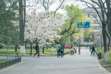 DSC_0252-1