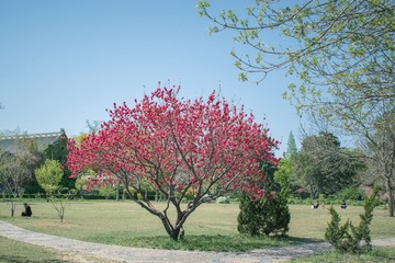 DSC_0391-1