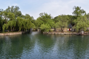 DSC_0802-1